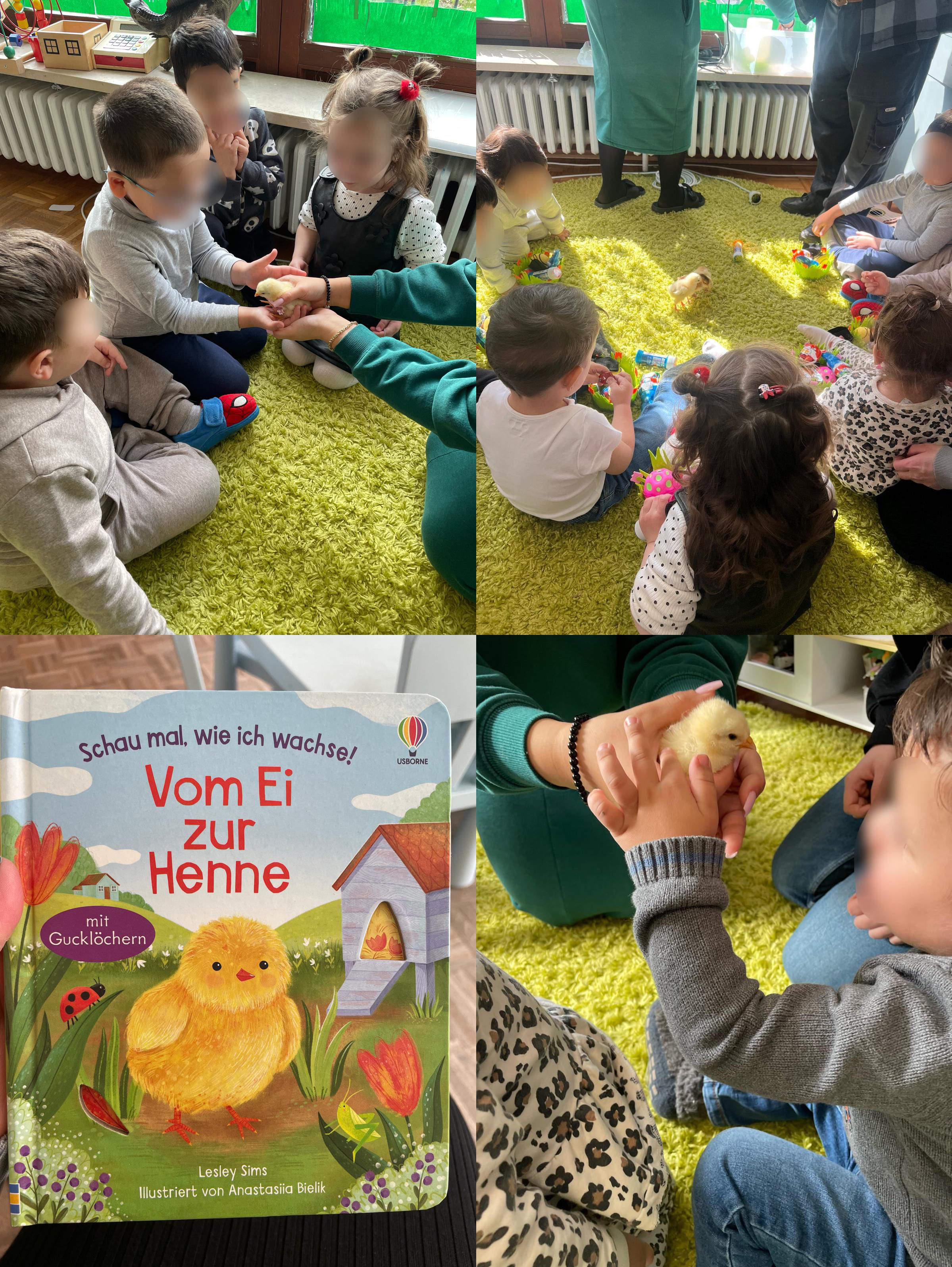 Kükenprojekt in der MuKi-Gruppe